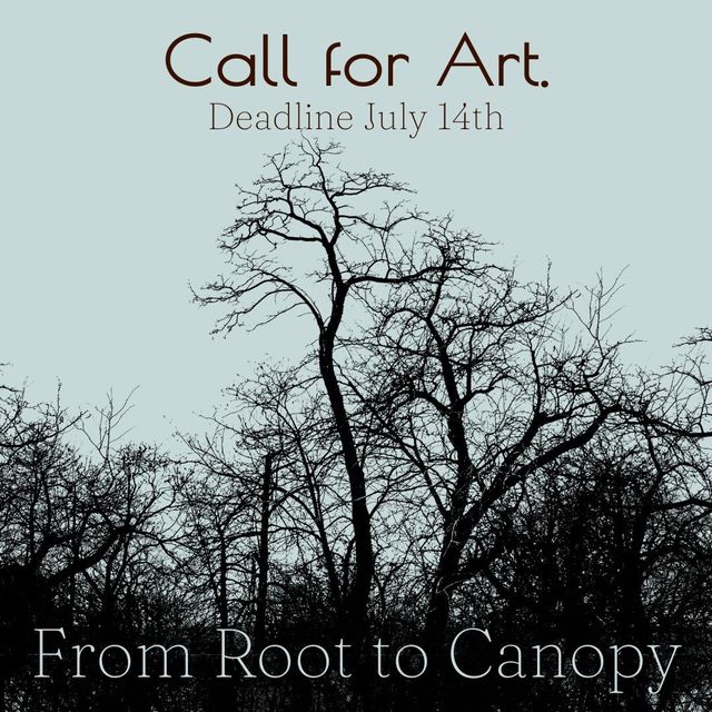Confluence Gallery - From Root to Canopy