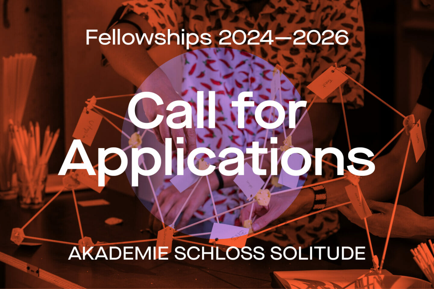 SOLITUDE FELLOWSHIP PROGRAM 2024–2026