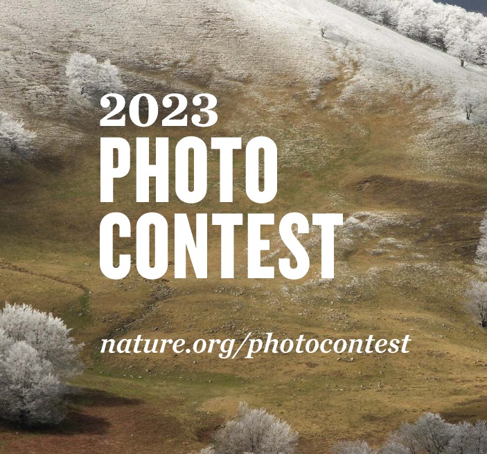 The Nature Conservancy’s Photo Contest 2023 artinfo