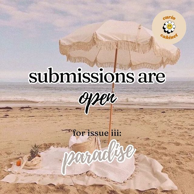 Curiocabinetmag Open Call for Submission