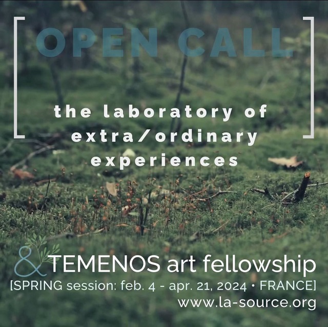 TEMENOS art fellowship