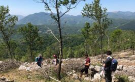 The Museum of Loss and Renewal