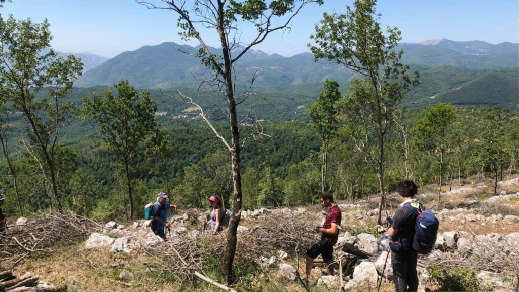 The Museum of Loss and Renewal