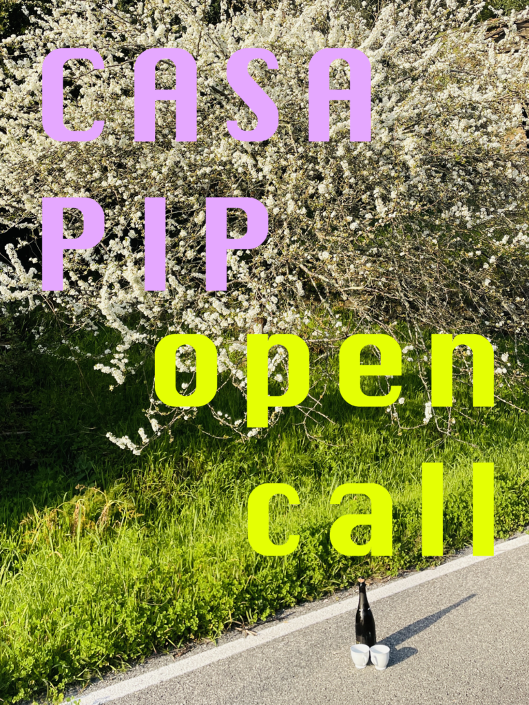 CASA PIP Film & Moving Image Residency Portugal